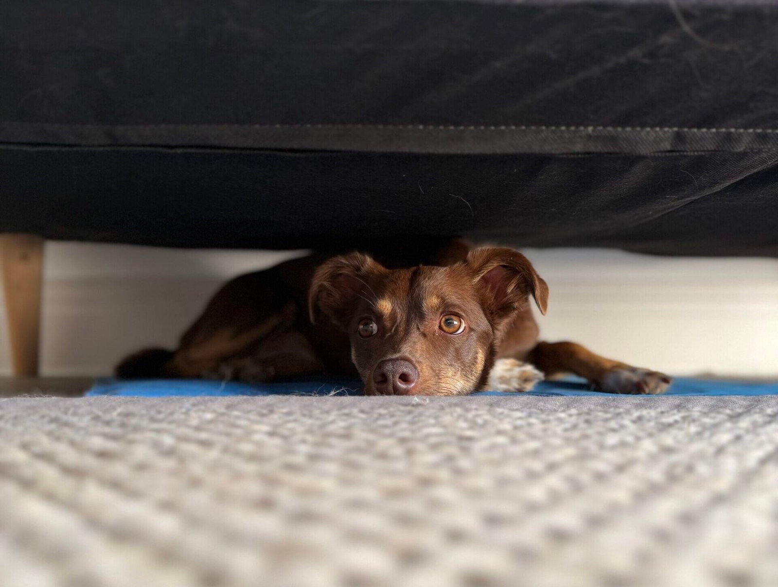 The myth of: ‘they’ll get used to it”